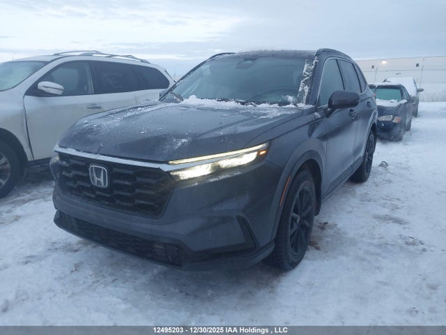 2HKRS4H56TH103942 Honda CR-V