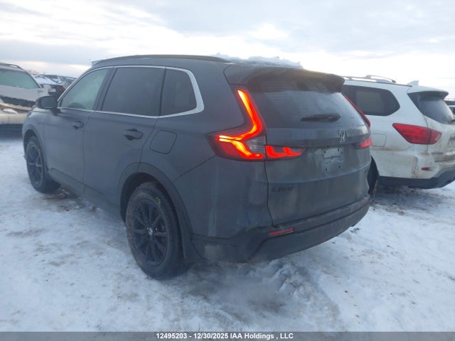 2HKRS4H56TH103942 Honda CR-V