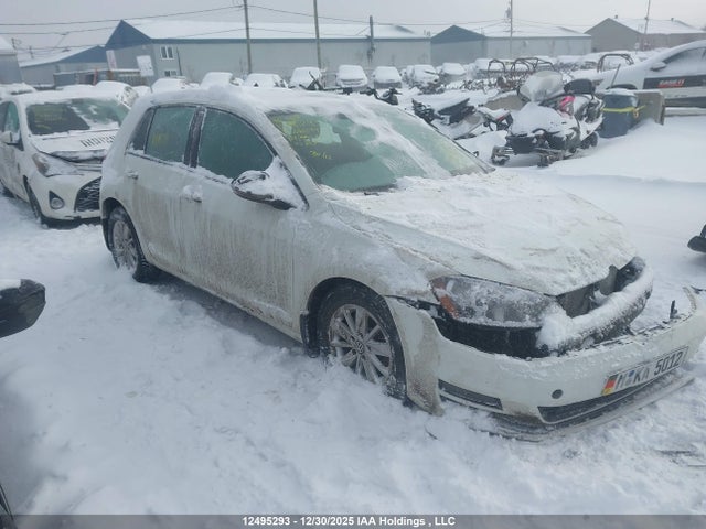 3VW217AU9GM061299 Volkswagen Golf 1.8 Tsi Comfortline/1.8 Tsi Highline/1.8 Tsi Trendline