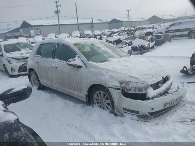3VW217AU9GM061299 Volkswagen Golf 1.8 Tsi Comfortline/1.8 Tsi Highline/1.8 Tsi Trendline
