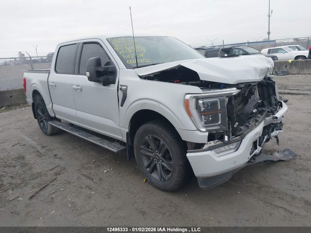 Продаж на аукціоні авто 2023 Ford F150 Supercrew, vin: 1FTEW1EP1PFC86836, номер лоту: 12495333