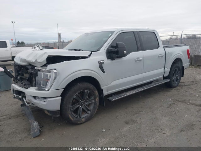 Продаж на аукціоні авто 2023 Ford F150 Supercrew, vin: 1FTEW1EP1PFC86836, номер лоту: 12495333