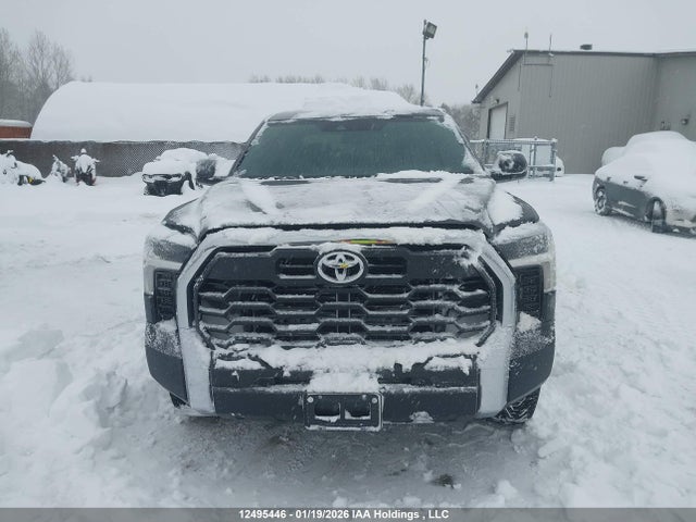 Aukcja sprzedaży 2025 Toyota Tundra Sr 4x4, vin: 5TFLA5DB8SX289755, numer aukcji: 12495446