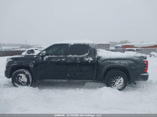Aukcja sprzedaży 2025 Toyota Tundra Sr 4x4, vin: 5TFLA5DB8SX289755, numer aukcji: 12495446
