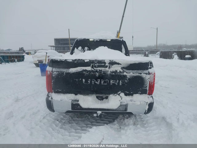 Aukcja sprzedaży 2025 Toyota Tundra Sr 4x4, vin: 5TFLA5DB8SX289755, numer aukcji: 12495446