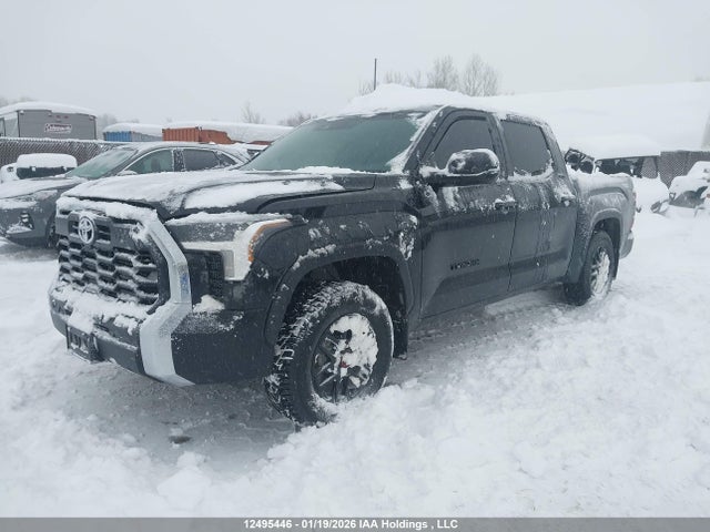 Aukcja sprzedaży 2025 Toyota Tundra Sr 4x4, vin: 5TFLA5DB8SX289755, numer aukcji: 12495446