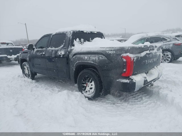 Aukcja sprzedaży 2025 Toyota Tundra Sr 4x4, vin: 5TFLA5DB8SX289755, numer aukcji: 12495446