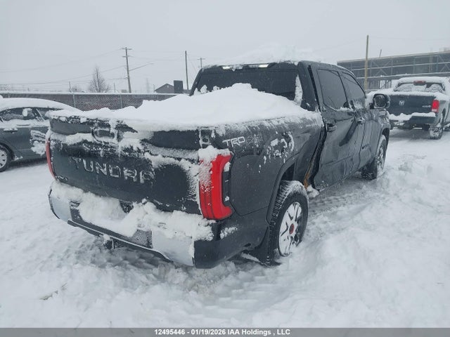 Aukcja sprzedaży 2025 Toyota Tundra Sr 4x4, vin: 5TFLA5DB8SX289755, numer aukcji: 12495446