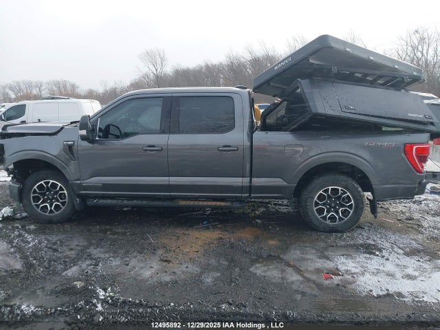 Aukcja sprzedaży 2023 Ford F150 Supercrew, vin: 1FTFW1ED2PFA93315, numer aukcji: 12495892