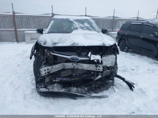 2023 Toyota Highlander Hybrid Hybrid მანქანა იყიდება აუქციონზე, vin: 5TDKBRCH6PS136214, აუქციონის ნომერი: 12496086
