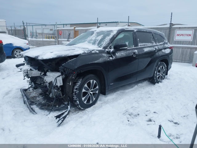 2023 Toyota Highlander Hybrid Hybrid მანქანა იყიდება აუქციონზე, vin: 5TDKBRCH6PS136214, აუქციონის ნომერი: 12496086