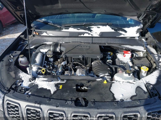 3C4NJDDN1ST559739 Jeep Compass Trailhawk