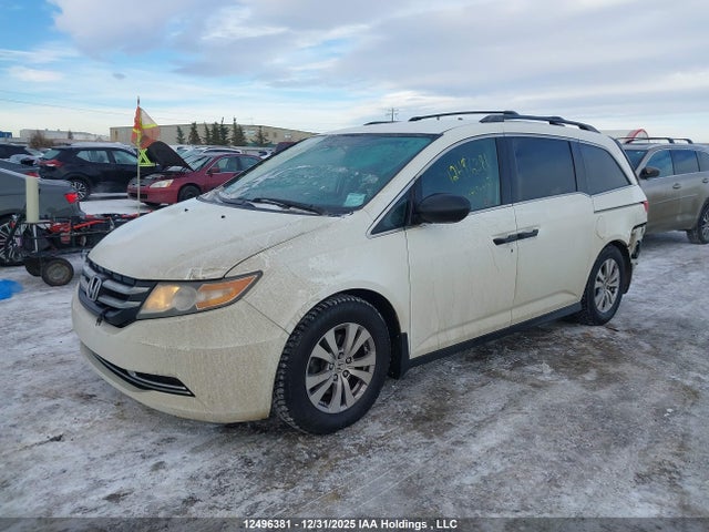 5FNRL5H3XHB502036 Honda ODYSSEY SE