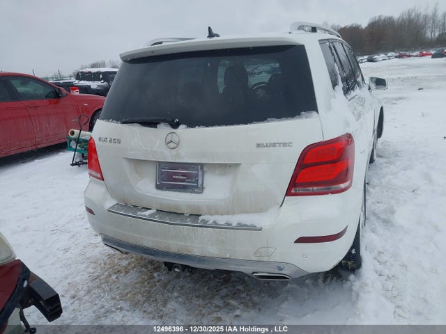 WDCGG0EB3EG302847 Mercedes-Benz Glk 250 Bluetec