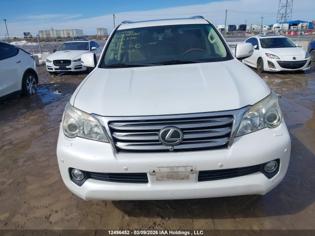 2010 Lexus Gx Premium მანქანა იყიდება აუქციონზე, vin: JTJJM7FX0A5003326, აუქციონის ნომერი: 12496452