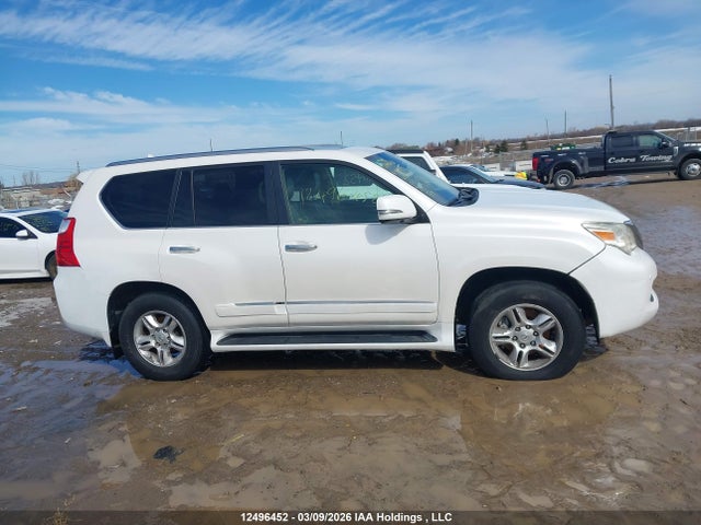 2010 Lexus Gx Premium მანქანა იყიდება აუქციონზე, vin: JTJJM7FX0A5003326, აუქციონის ნომერი: 12496452