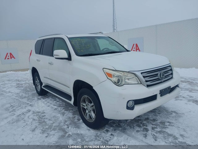 2010 Lexus Gx Premium მანქანა იყიდება აუქციონზე, vin: JTJJM7FX0A5003326, აუქციონის ნომერი: 12496452