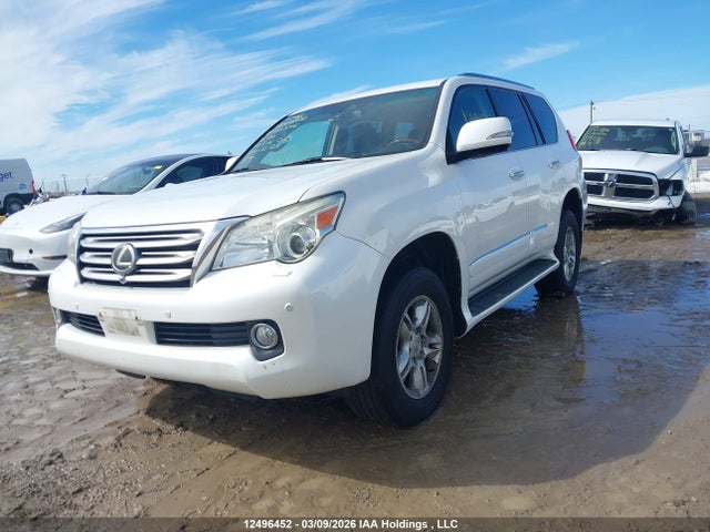 2010 Lexus Gx Premium მანქანა იყიდება აუქციონზე, vin: JTJJM7FX0A5003326, აუქციონის ნომერი: 12496452
