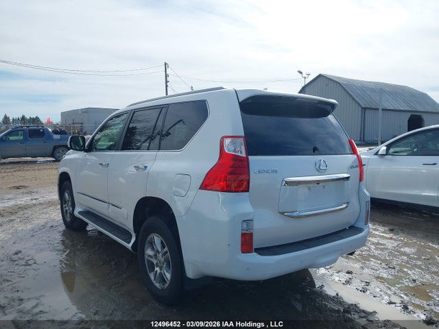 2010 Lexus Gx Premium მანქანა იყიდება აუქციონზე, vin: JTJJM7FX0A5003326, აუქციონის ნომერი: 12496452