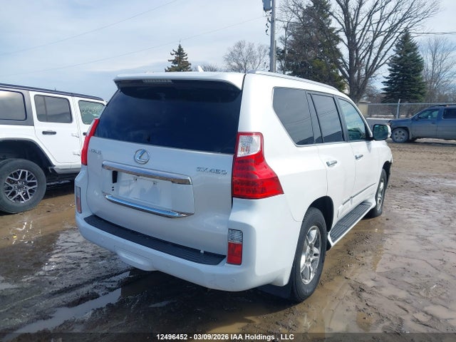 2010 Lexus Gx Premium მანქანა იყიდება აუქციონზე, vin: JTJJM7FX0A5003326, აუქციონის ნომერი: 12496452