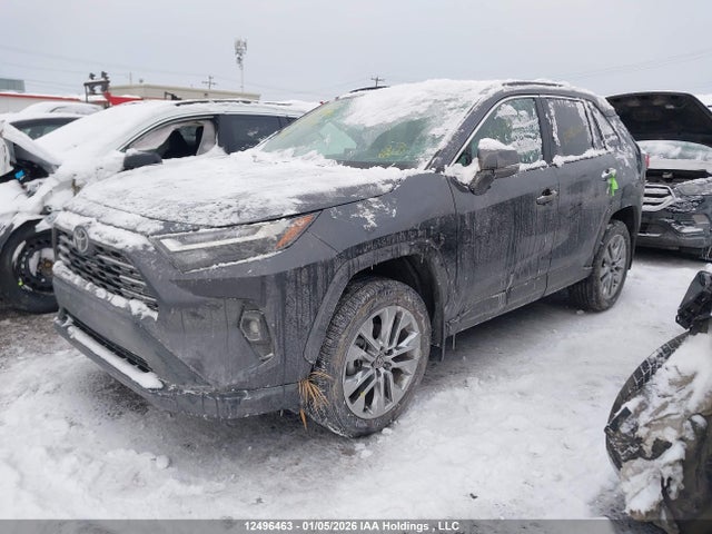 2T3R1RFV6SC562318 Toyota Rav4 Xle