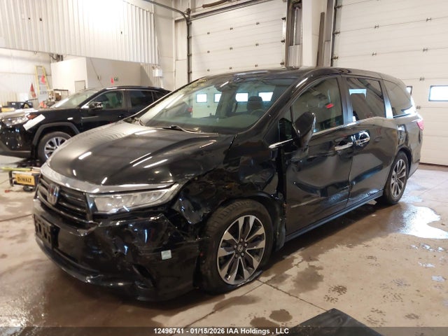 5FNRL6H61PB501002 Honda ODYSSEY EXL