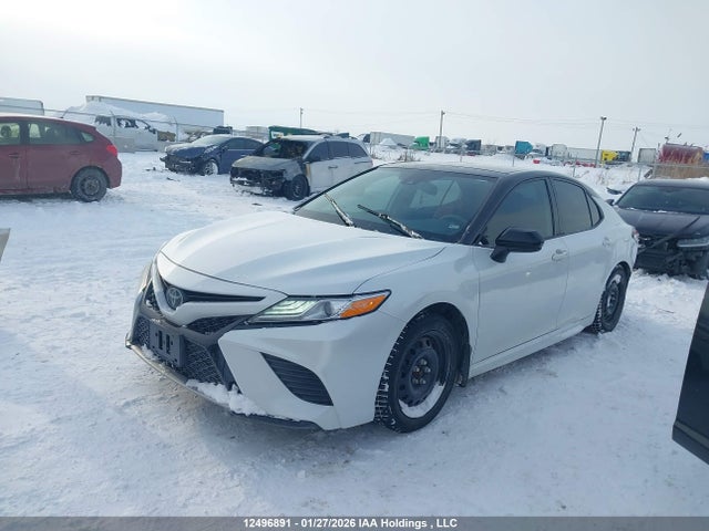 4T1K61AK8LU351132 Toyota Camry