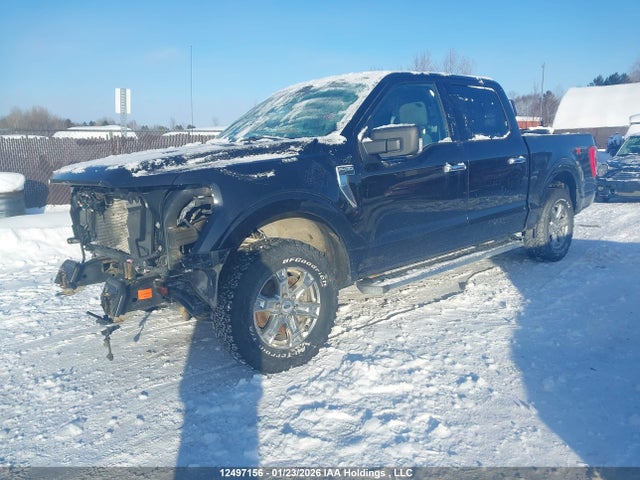 1FTFW1E58MKD71114 Ford F-150 Xlt