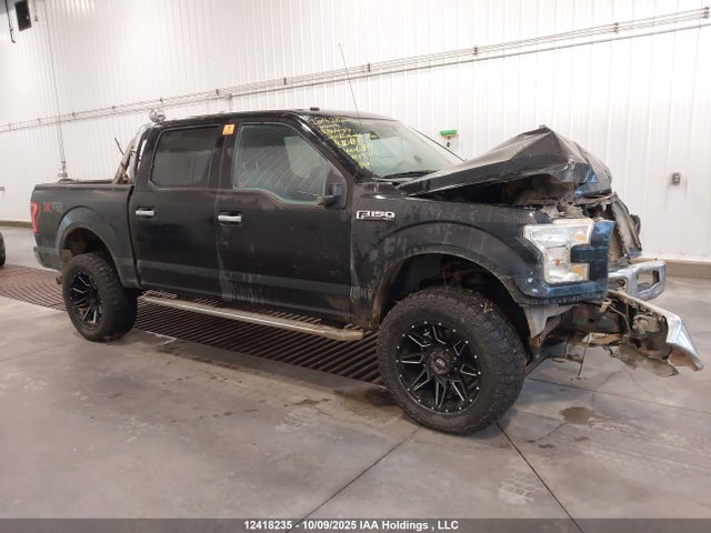 1FTEW1EF7GKE80477 Ford F-150 Xlt