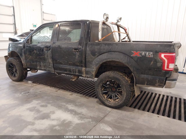 1FTEW1EF7GKE80477 Ford F-150 Xlt