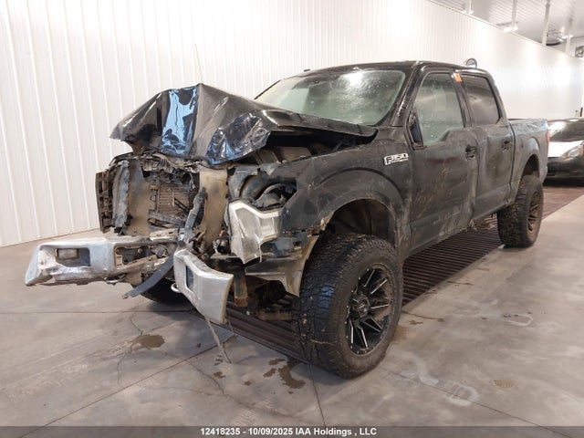 1FTEW1EF7GKE80477 Ford F-150 Xlt
