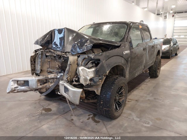 1FTEW1EF7GKE80477 Ford F-150 Xlt