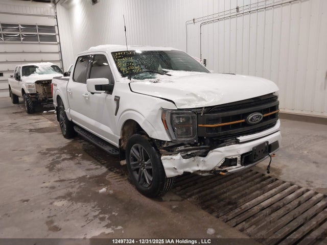 1FTEW1E86PFD00674 Ford F-150 Tremor