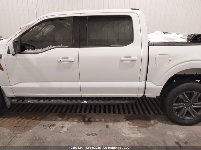 1FTEW1E86PFD00674 Ford F-150 Tremor