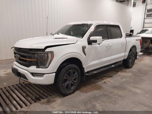 1FTEW1E86PFD00674 Ford F-150 Tremor