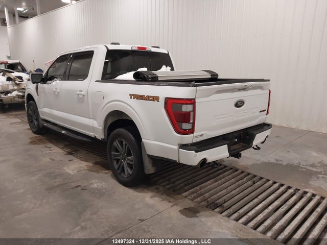 1FTEW1E86PFD00674 Ford F-150 Tremor