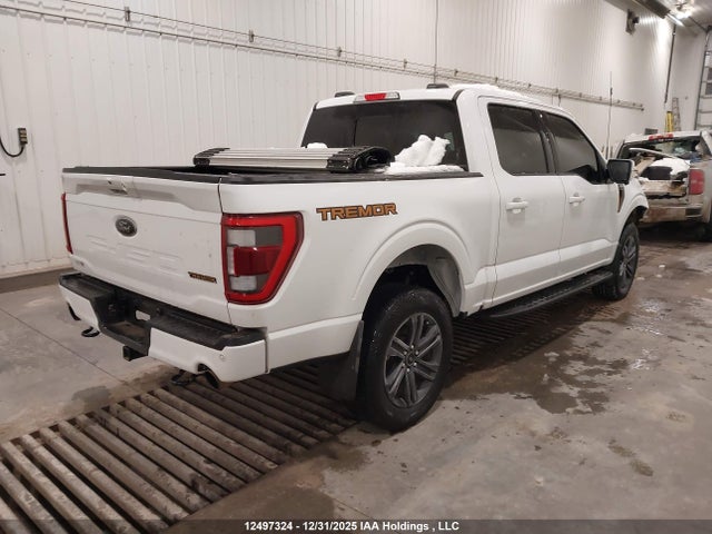 1FTEW1E86PFD00674 Ford F-150 Tremor