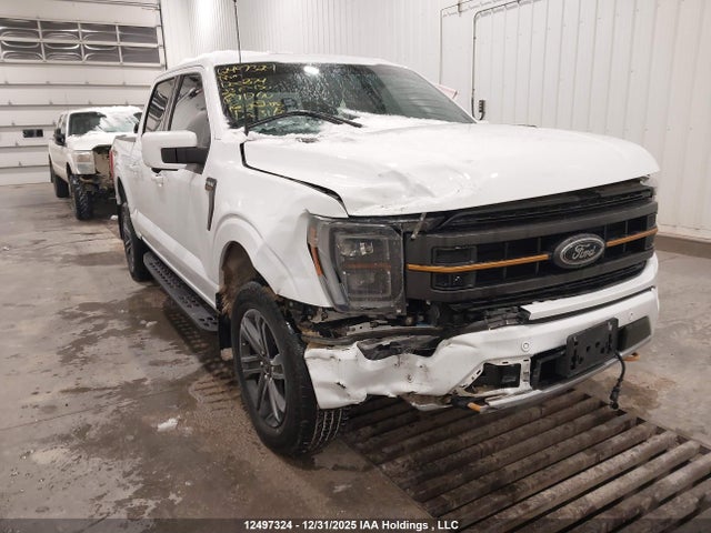 1FTEW1E86PFD00674 Ford F-150 Tremor