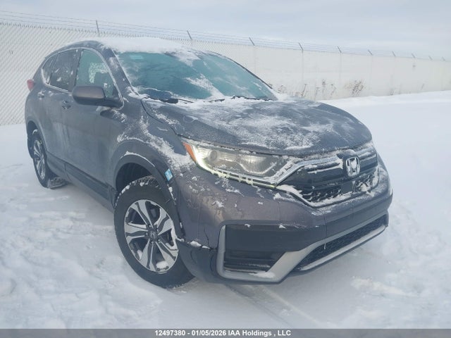 2HKRW2H24LH233166 Honda CR-V