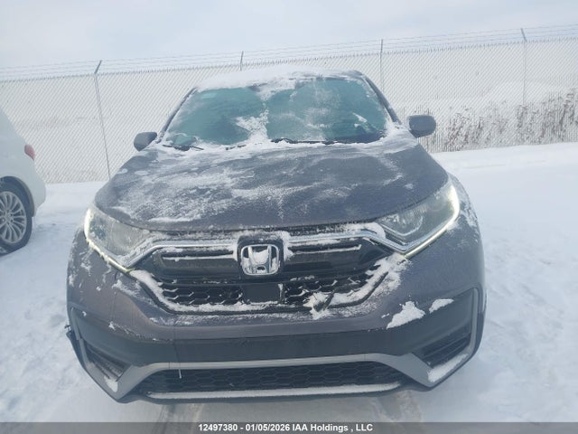 2HKRW2H24LH233166 Honda CR-V