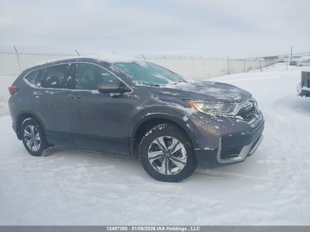 2HKRW2H24LH233166 Honda CR-V