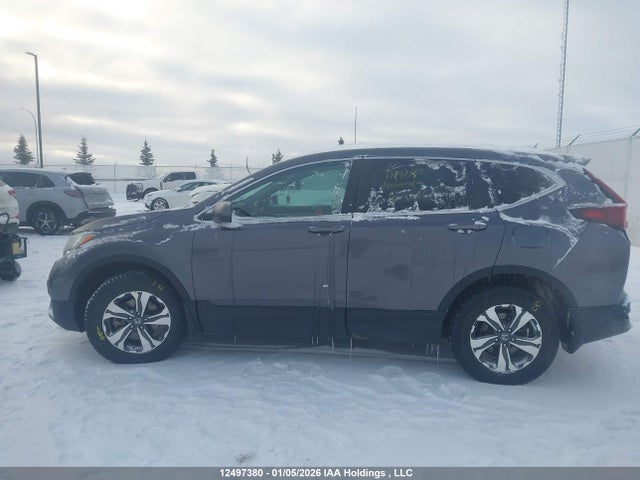 2HKRW2H24LH233166 Honda CR-V
