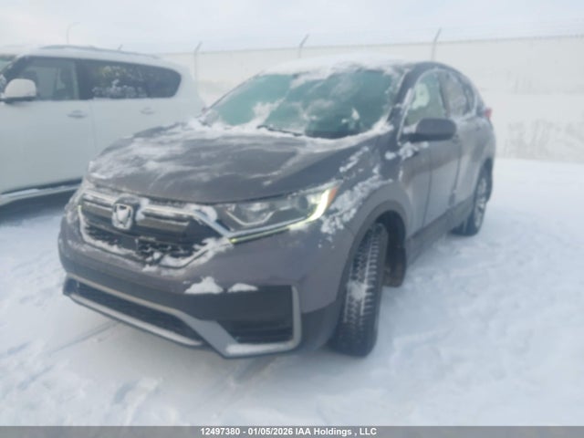 2HKRW2H24LH233166 Honda CR-V