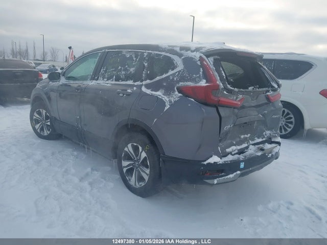 2HKRW2H24LH233166 Honda CR-V