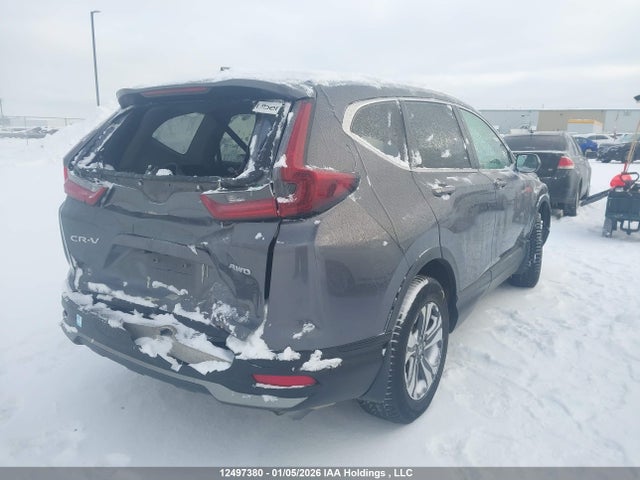 2HKRW2H24LH233166 Honda CR-V