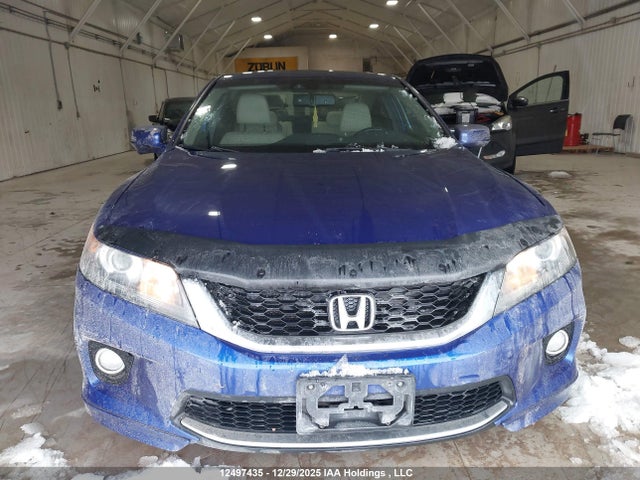2013 Honda Accord Exl მანქანა იყიდება აუქციონზე, vin: 1HGCT1B80DA801977, აუქციონის ნომერი: 12497435