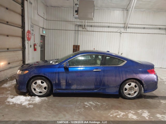 2013 Honda Accord Exl მანქანა იყიდება აუქციონზე, vin: 1HGCT1B80DA801977, აუქციონის ნომერი: 12497435