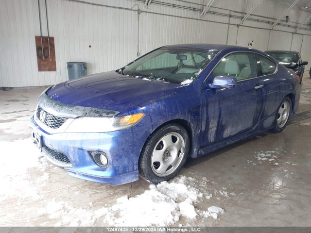 2013 Honda Accord Exl მანქანა იყიდება აუქციონზე, vin: 1HGCT1B80DA801977, აუქციონის ნომერი: 12497435
