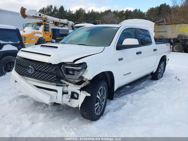 5TFDY5F18MX007556 Toyota Tundra Crewmax Sr5/crewmax Trd Pro