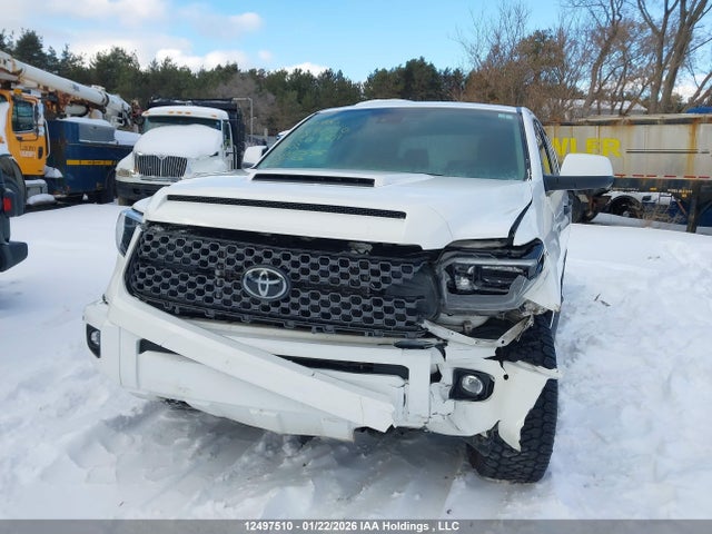 5TFDY5F18MX007556 Toyota Tundra Crewmax Sr5/crewmax Trd Pro
